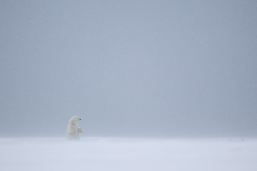 Photos d'ici et d'ailleurs ... enfin, surtout d'ailleurs